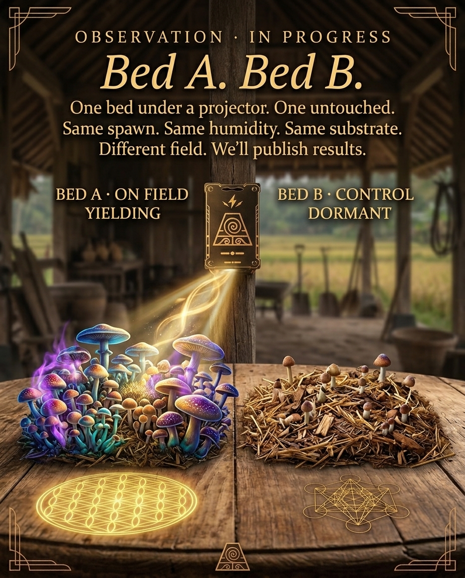 Bed A vs Bed B comparison